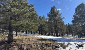 Lot 19 Buckskin Rd, Angel Fire, NM 87710