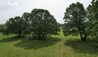 Tract 1 0000 Private Road 1184, Aurora, MO 65605