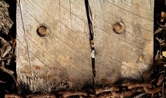 US Hwy 98, Beaumont, MS 39423