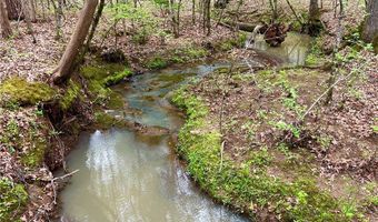 81 N Hwy, Calhoun Falls, SC 29628