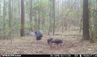 235 Woodrow Martin Rd, Brandon, MS 39042