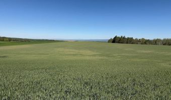 N 4600 E, Ashton, ID 83420