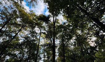 644 Ash-Harrel Loop, Abbeville, GA 31001