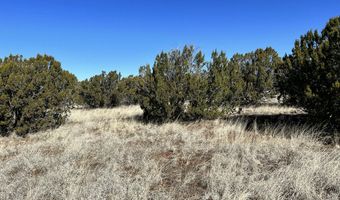 Lot 49 Windsor Valley Ranch, Concho, AZ 85924