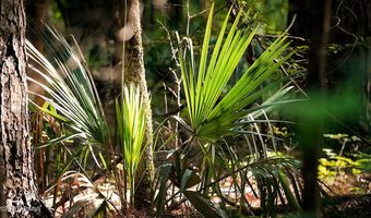 Cypress Pointe Drive lot 12, Brooksville, MS 39739