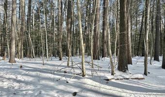Lot 80-1 Currier Road, Candia, NH 03034