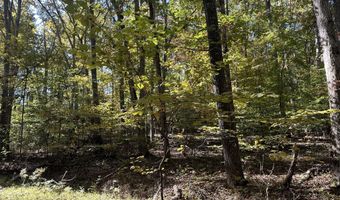 Lot 1215 Iron Gate Drive, Baneberry, TN 37890