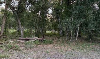 SE BROWN Road, Arcadia, FL 34266