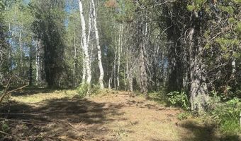 4376 Granite Rdg, Ashton, ID 83420