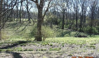 8711 7 Hills Dr, Alton, IL 62002