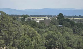 Lobo Ranch Road, Arroyo Hondo, NM 87513
