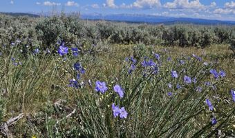 TRACK 12 ASPEN RIDGE Road, Daniel, WY 83115