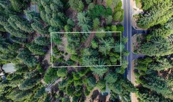 4741 Meko Dr, Camp Connell, CA 95223