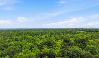 115355 115353 CR 2501, Alto, TX 75925