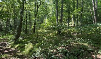 281 Scotts Branch Rd, Amherst, VA 24521
