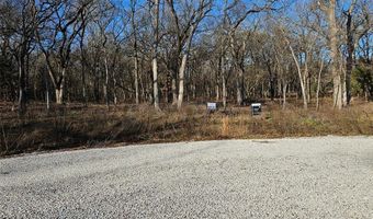 Lot 221 Banjo Court, Alvord, TX 76225