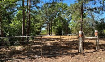 R13945 A0049 J Peterson Tract 11 Acres, Anderson, TX 77830