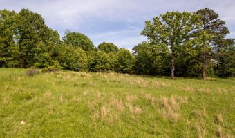 1250 County Road 405, Alton, MO 65606