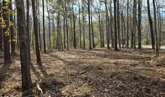 Yatesville Road, Barnesville, GA 30204