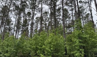 0010 Mount Carmel Rd, Bailey, MS 39320