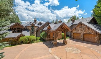 691 Pfister Dr, Aspen, CO 81611