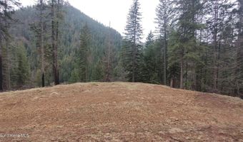 480 Dunn Peak Rd, Avery, ID 83802