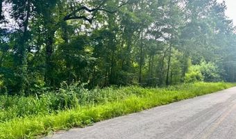 8946 Anderson Rd, Adams Run, SC 29426