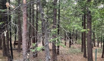 3471 Pocatello Cir, Arnold, CA 95223