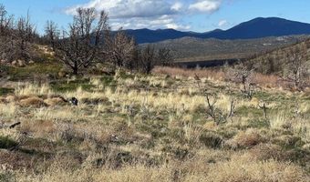 parcels at Pine Nut Creek area, Gardnerville, NV 89410