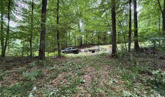 9999 Countryside Est, Barnardsville, NC 28709