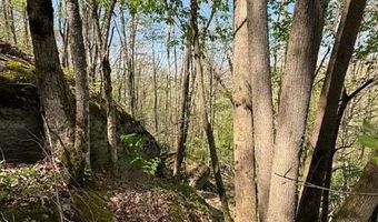 62 Acres Buckeye Ridge Rd, Beech Mountain, NC 28604