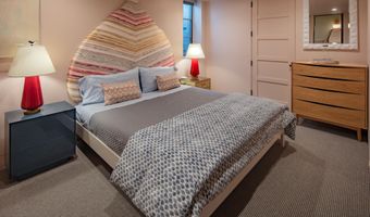 614 W North St, Aspen, CO 81611