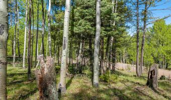 Lot 437 El Camino Real, Angel Fire, NM 87710