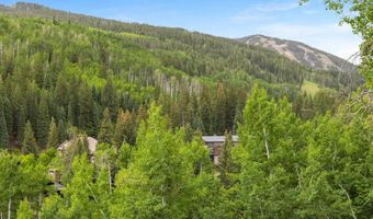 60 Elk Track Ct, Beaver Creek, CO 81620