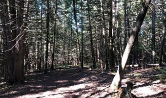 Banwell Road, Alanson, MI 49706