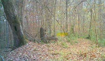 1 8 Miles Due South Down Anding Oil City Rd, Bentonia, MS 39040