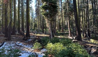 550 Cabbage Patch Log Rd, South Lake Tahoe, CA 95223