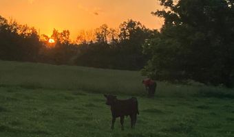 679 New Hope Church Rd, Barbourville, KY 40906