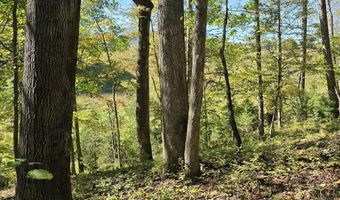 HURT HOLLOW RD, Banco, VA 22711