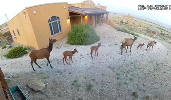 267 Tolman Rd, Clark, WY 82435