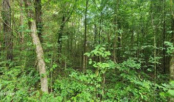 Shady Lane, Big Sandy, TN 38221