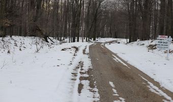 lot 5 Crystal View Commons, Beulah, MI 49617