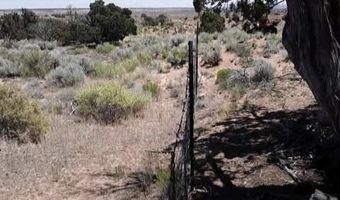 210-06 005 & 206-51-136, Chambers, AZ 86502