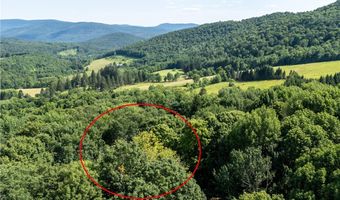 253 Davis Hollow Rd, Andes, NY 13731