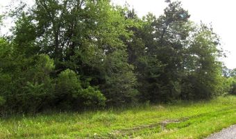 118 LR 27, Ashdown, AR 71822