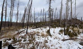 2025 Granite Rd, Bellvue, CO 80512