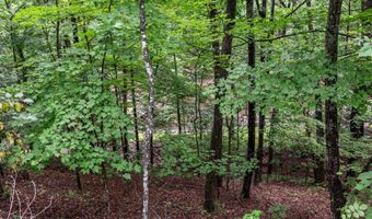 VALLEY VIEW ROAD, Basye, VA 22810