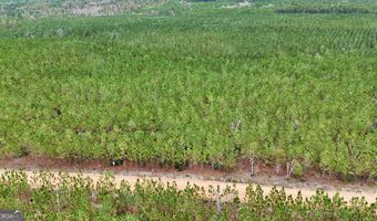 Penny Morris Road, Baxley, GA 31513