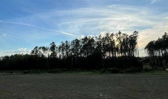 2560 County Road 340, Bell, FL 32619