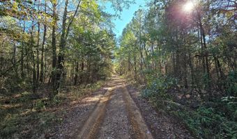 TBD Raw Land, Bates, AR 72958